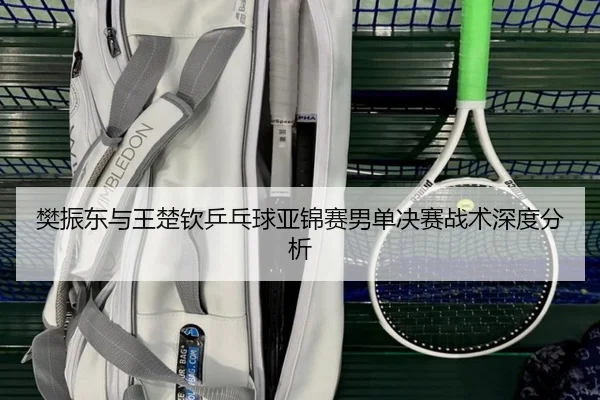 樊振东与王楚钦乒乓球亚锦赛男单决赛战术深度分析